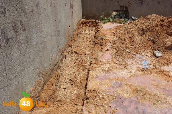 abo selmeiy 0528 (12).JPG